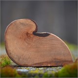 Пара красных птах 20087 - фото 1788