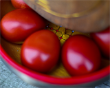 Курочка Ряба 20149 - фото 2847